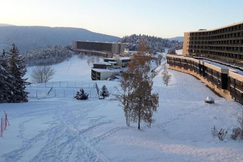 Studio Cosy Au Pied Des Pistes Villard-De-Lans 4 Pers エクステリア 写真