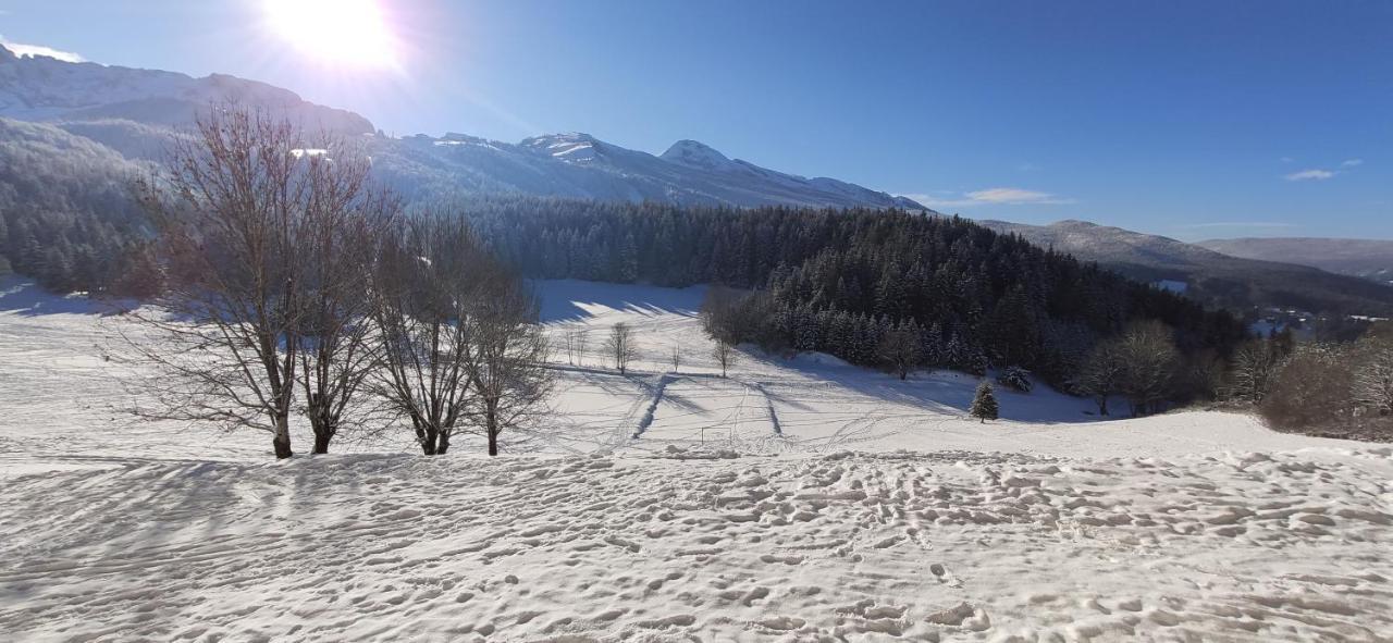 Studio Cosy Au Pied Des Pistes Villard-De-Lans 4 Pers エクステリア 写真